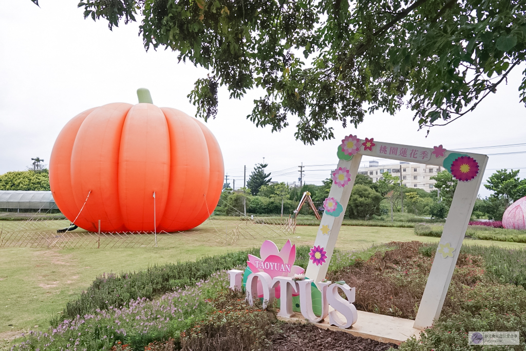 桃園活動-2022桃園觀音萬聖南瓜節-巨型南瓜氣球、試膽鬼屋、幽靈糖果屋必朝聖,濃厚的萬聖節氛圍 @靜兒貪吃遊玩愛分享 桃園活動-2022桃園觀音萬聖南瓜節-巨型南瓜氣球、試膽鬼屋、幽靈糖果屋必朝聖,濃厚的萬聖節氛圍 @靜兒貪吃遊玩愛分享