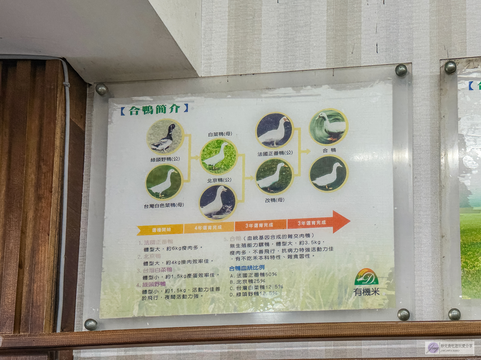 合鴨米灶腳-隱藏在民宅!自家飼養鴨與種植健康無毒米,獨創鴨肉飯三吃 @靜兒貪吃遊玩愛分享 合鴨米灶腳-隱藏在民宅!自家飼養鴨與種植健康無毒米,獨創鴨肉飯三吃 @靜兒貪吃遊玩愛分享