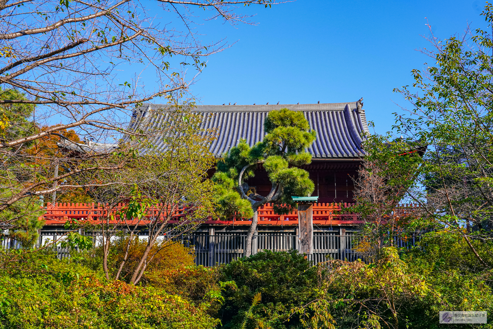 東京景點-上野恩賜公園-日本第一座公園！152年歷史，佔地約53萬平方公尺，周邊景點玩樂攻略 @靜兒貪吃遊玩愛分享
