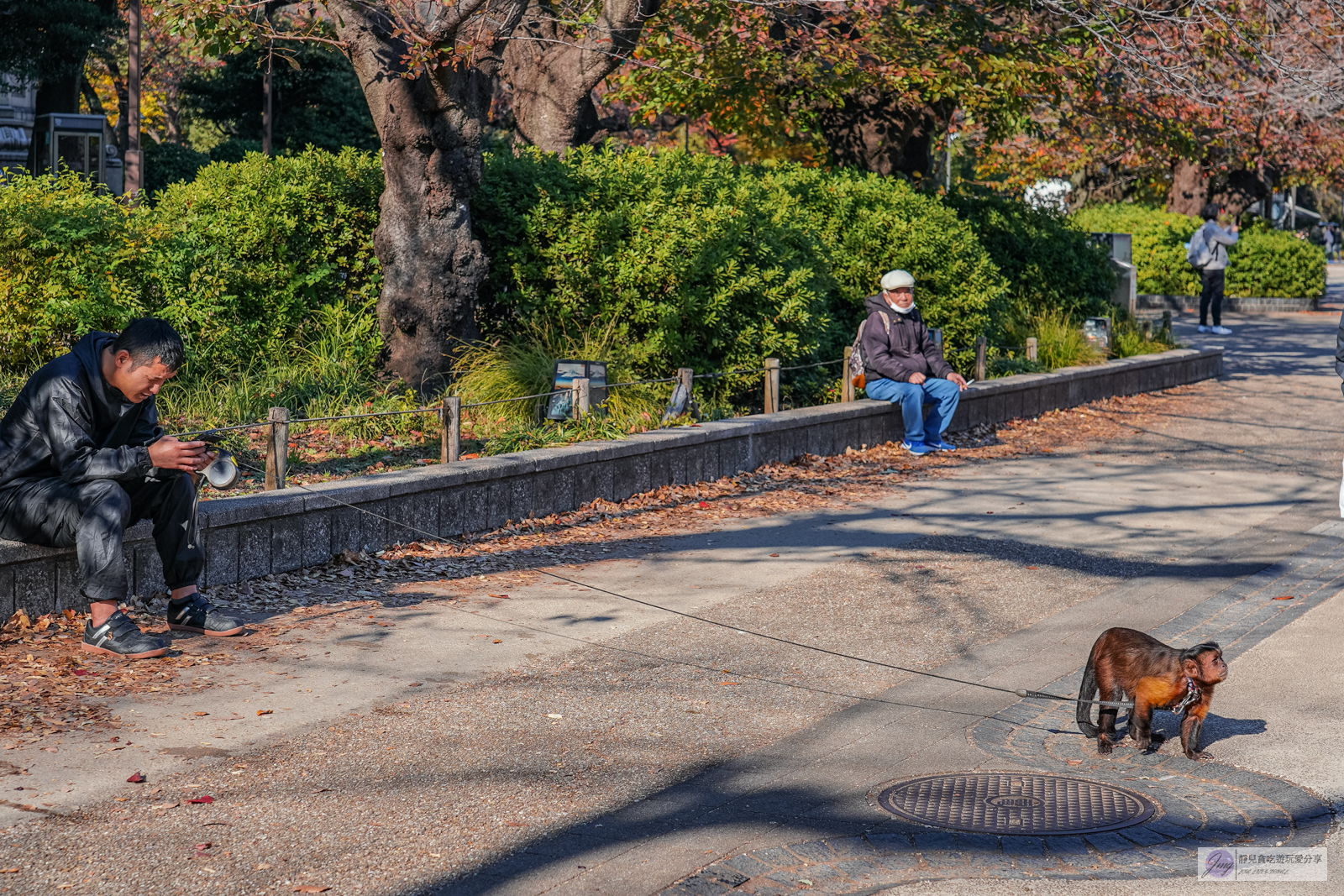 東京景點-上野恩賜公園-日本第一座公園！152年歷史，佔地約53萬平方公尺，周邊景點玩樂攻略 @靜兒貪吃遊玩愛分享