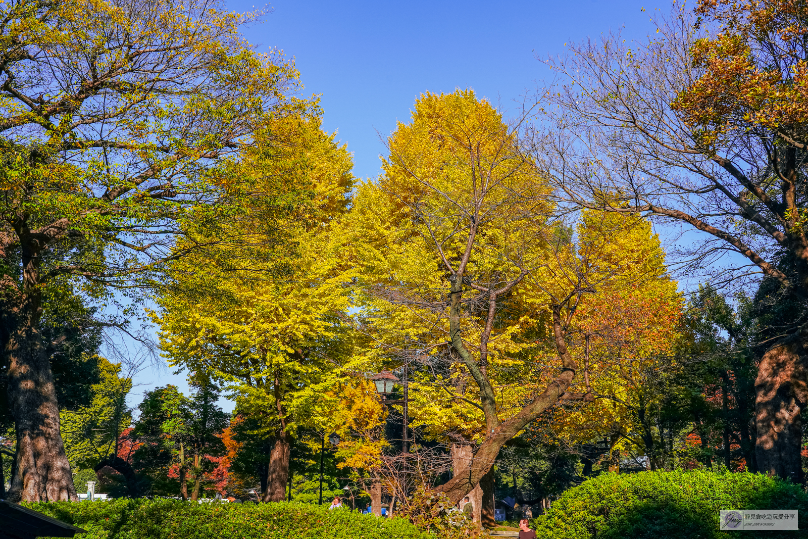 東京景點-上野恩賜公園-日本第一座公園！152年歷史，佔地約53萬平方公尺，周邊景點玩樂攻略 @靜兒貪吃遊玩愛分享