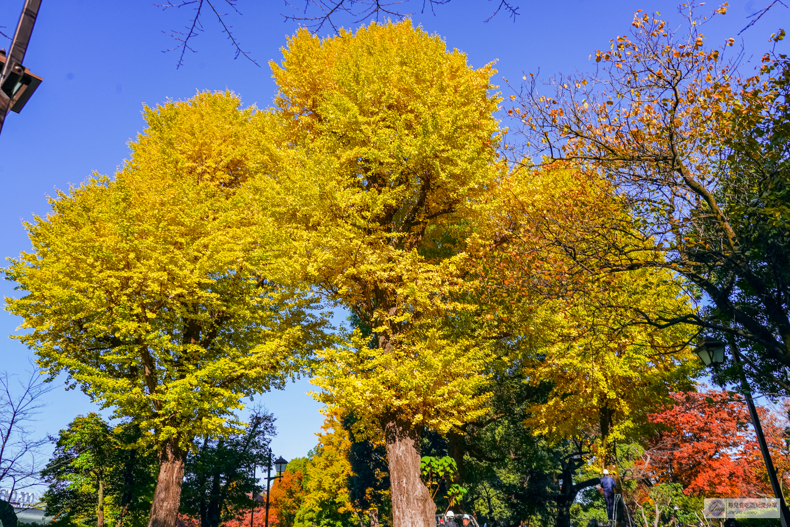 東京景點-上野恩賜公園-日本第一座公園！152年歷史，佔地約53萬平方公尺，周邊景點玩樂攻略 @靜兒貪吃遊玩愛分享
