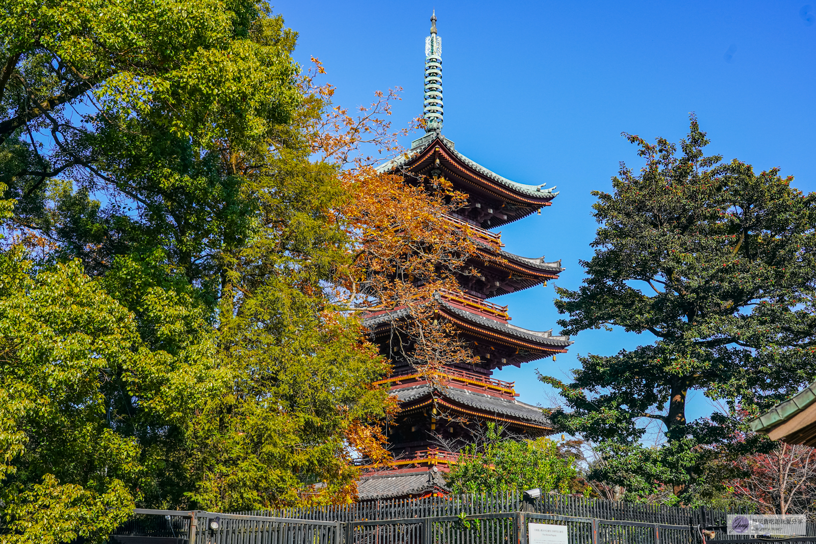 東京景點-上野恩賜公園-日本第一座公園！152年歷史，佔地約53萬平方公尺，周邊景點玩樂攻略 @靜兒貪吃遊玩愛分享