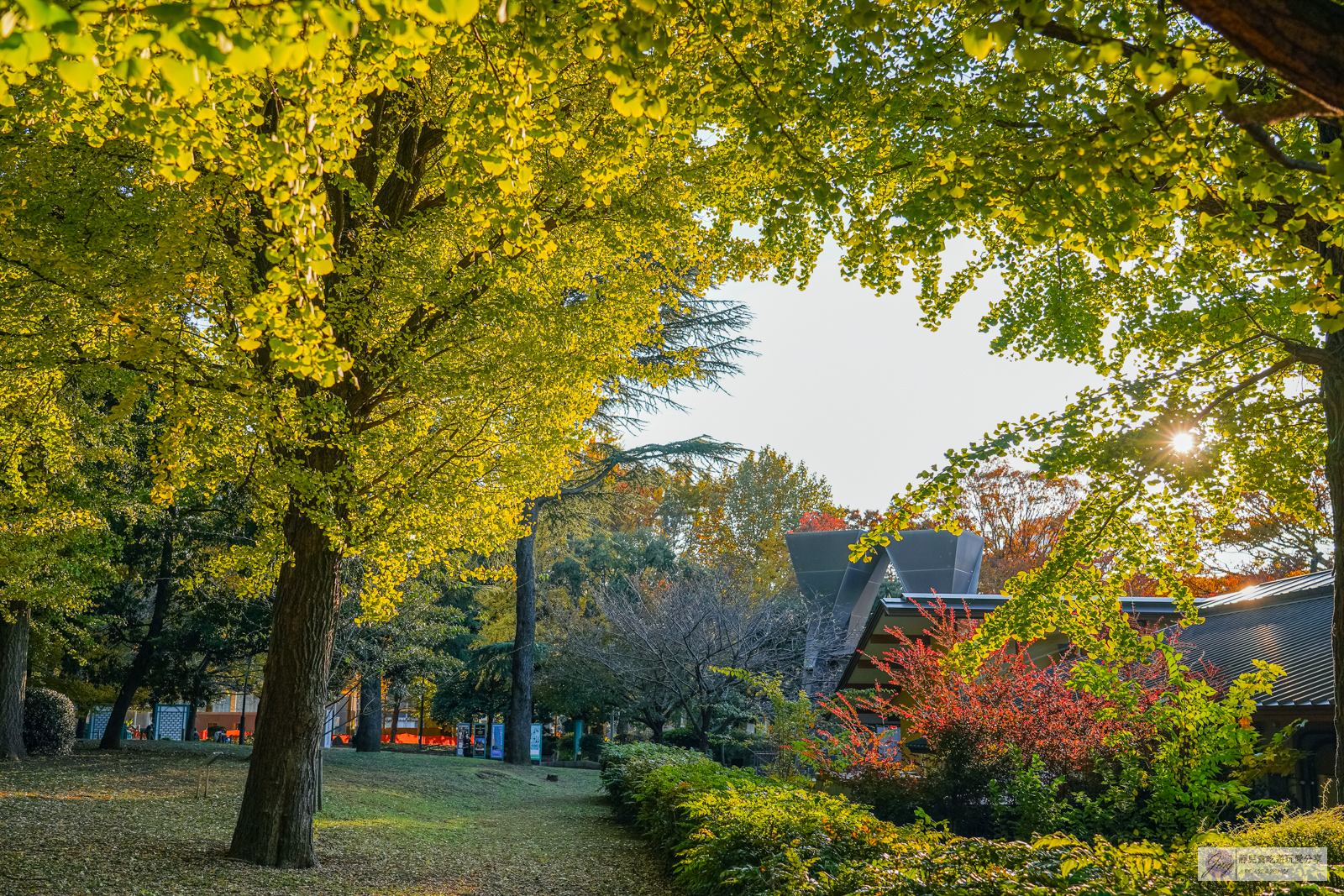 東京景點-上野恩賜公園-日本第一座公園！152年歷史，佔地約53萬平方公尺，周邊景點玩樂攻略 @靜兒貪吃遊玩愛分享