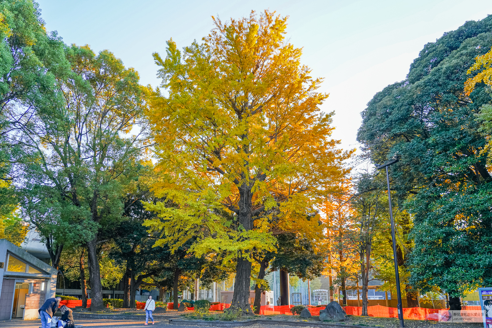 東京景點-上野恩賜公園-日本第一座公園！152年歷史，佔地約53萬平方公尺，周邊景點玩樂攻略 @靜兒貪吃遊玩愛分享