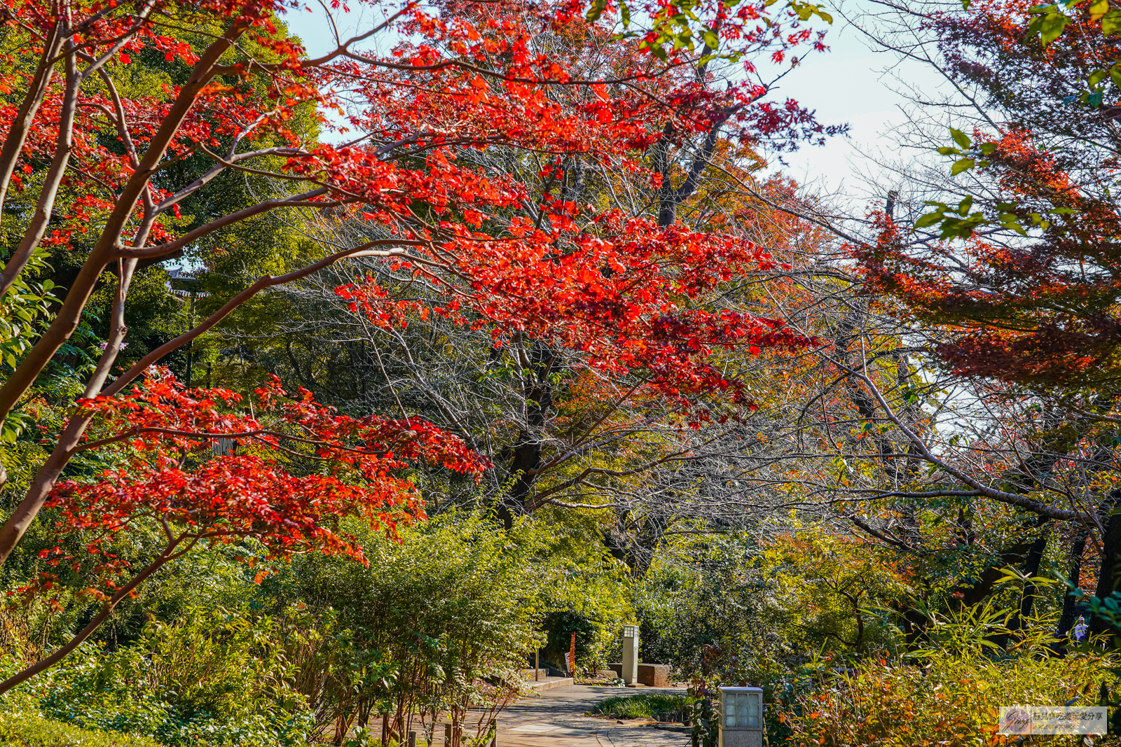 東京景點-上野恩賜公園-日本第一座公園！152年歷史，佔地約53萬平方公尺，周邊景點玩樂攻略 @靜兒貪吃遊玩愛分享