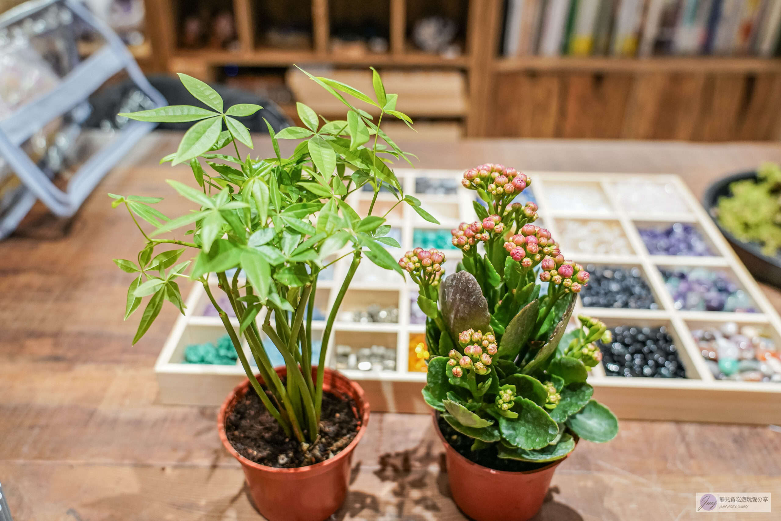 點晶礦水晶工作室-隱藏小巷內！結合花藝水晶命盤，客製化屬於自己的水晶手鍊、開運水晶盆栽/鄰近迪化街 @靜兒貪吃遊玩愛分享