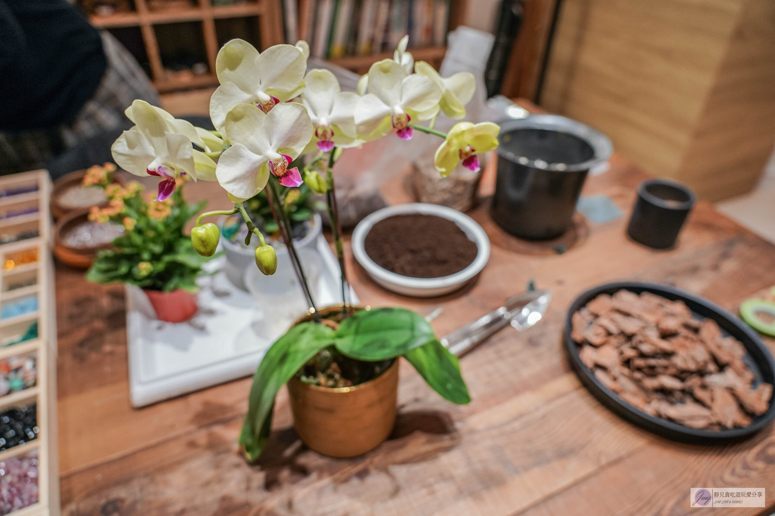 點晶礦水晶工作室-隱藏小巷內！結合花藝水晶命盤，客製化屬於自己的水晶手鍊、開運水晶盆栽/鄰近迪化街 @靜兒貪吃遊玩愛分享