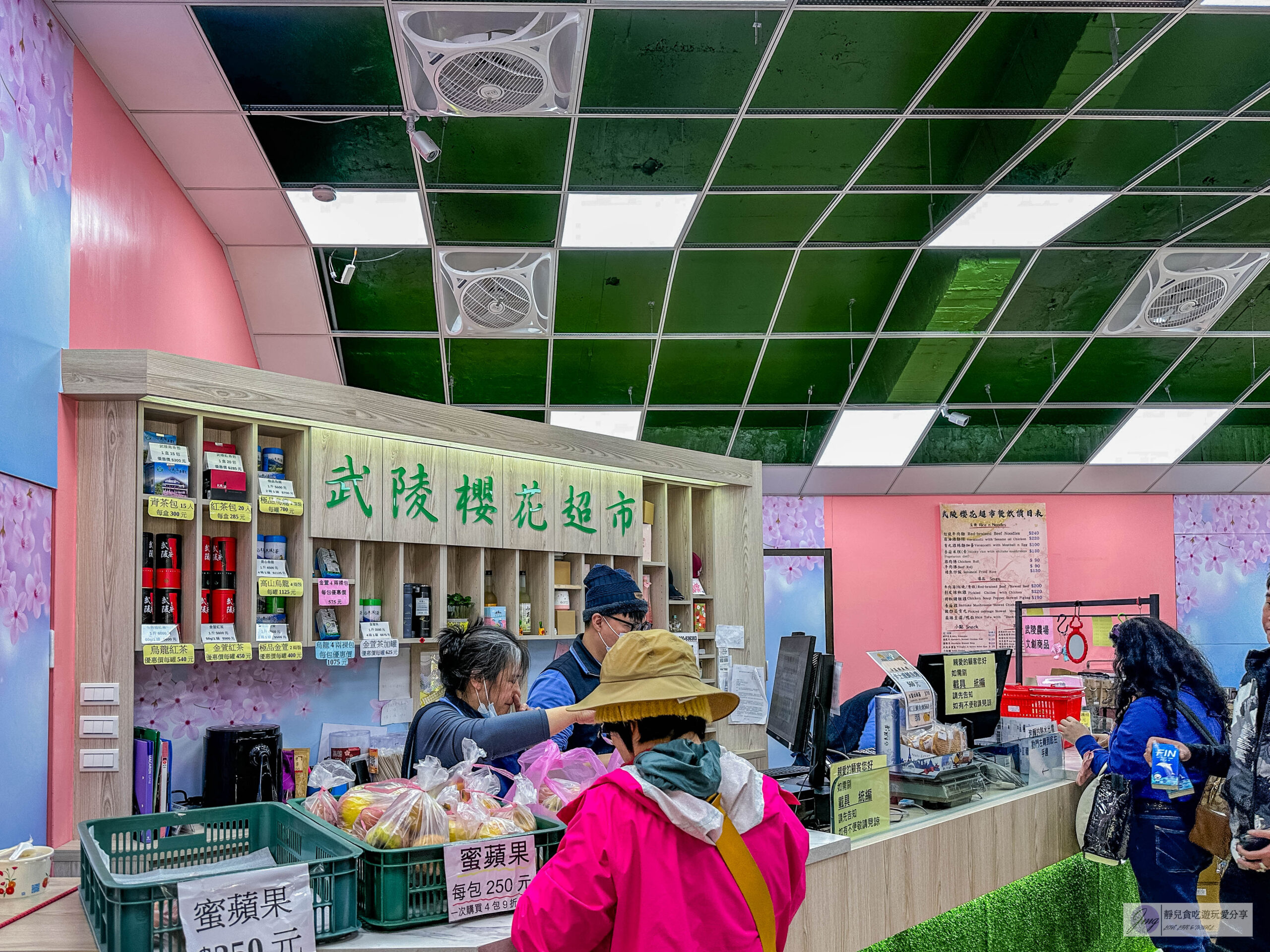 武陵農場-漫天粉櫻美景！多達20品種櫻花綻放的仙境粉紅森林，武陵賞櫻花季、門票、交通攻略 @靜兒貪吃遊玩愛分享
