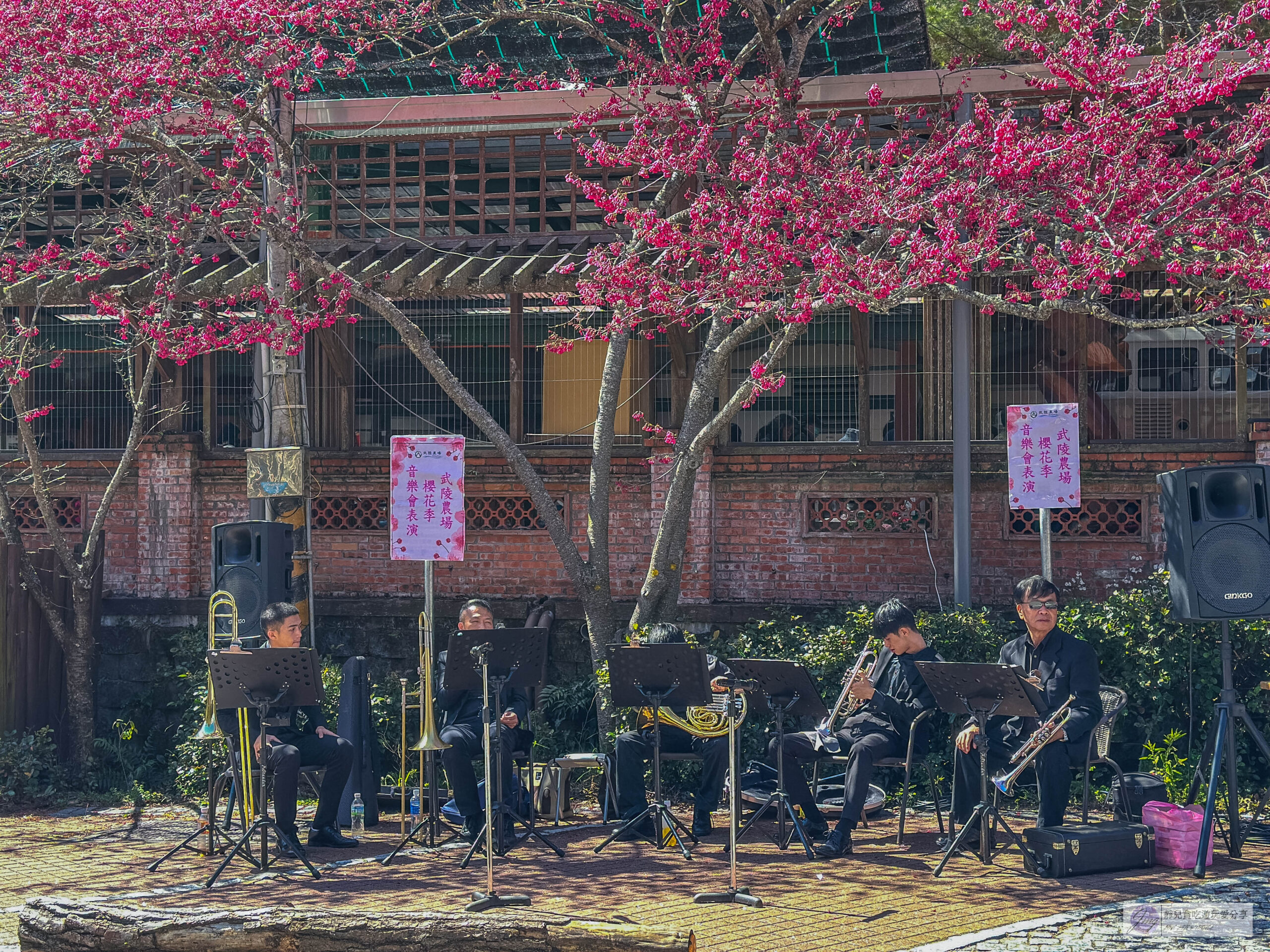 武陵農場-漫天粉櫻美景!多達20品種櫻花綻放的仙境粉紅森林,武陵賞櫻花季、門票、交通攻略 @靜兒貪吃遊玩愛分享 武陵農場-漫天粉櫻美景!多達20品種櫻花綻放的仙境粉紅森林,武陵賞櫻花季、門票、交通攻略 @靜兒貪吃遊玩愛分享