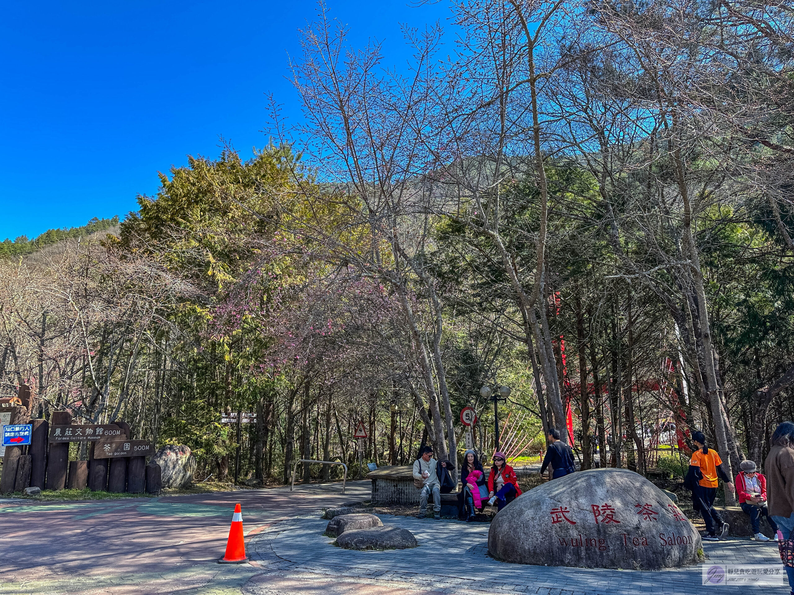 武陵農場-漫天粉櫻美景！多達20品種櫻花綻放的仙境粉紅森林，武陵賞櫻花季、門票、交通攻略 @靜兒貪吃遊玩愛分享