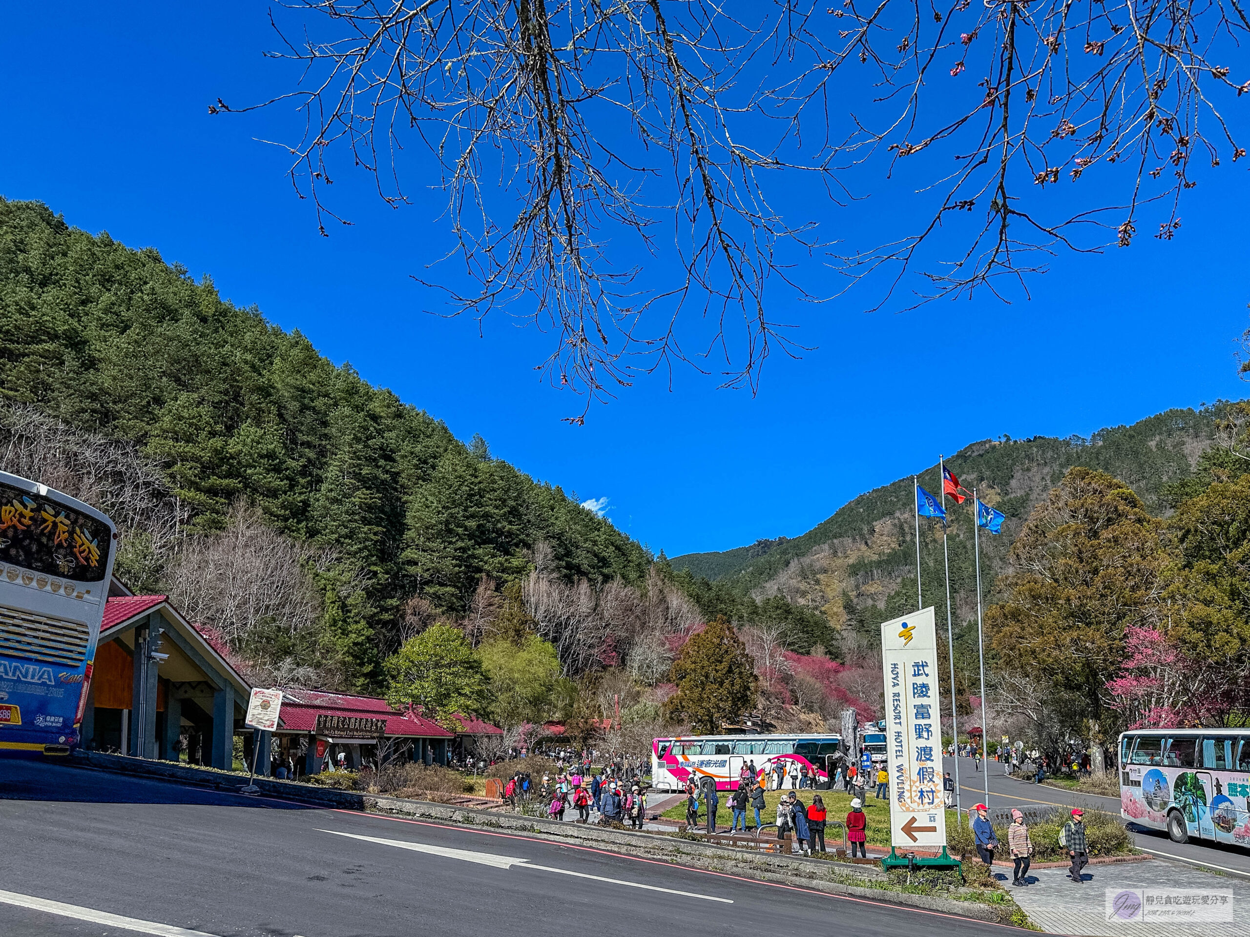 武陵農場-漫天粉櫻美景!多達20品種櫻花綻放的仙境粉紅森林,武陵賞櫻花季、門票、交通攻略 @靜兒貪吃遊玩愛分享 武陵農場-漫天粉櫻美景!多達20品種櫻花綻放的仙境粉紅森林,武陵賞櫻花季、門票、交通攻略 @靜兒貪吃遊玩愛分享