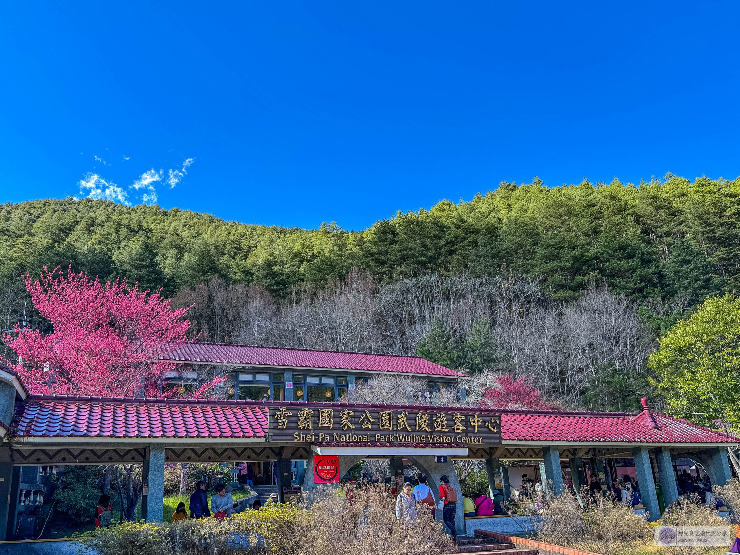 武陵農場-漫天粉櫻美景!多達20品種櫻花綻放的仙境粉紅森林,武陵賞櫻花季、門票、交通攻略 @靜兒貪吃遊玩愛分享 武陵農場-漫天粉櫻美景!多達20品種櫻花綻放的仙境粉紅森林,武陵賞櫻花季、門票、交通攻略 @靜兒貪吃遊玩愛分享