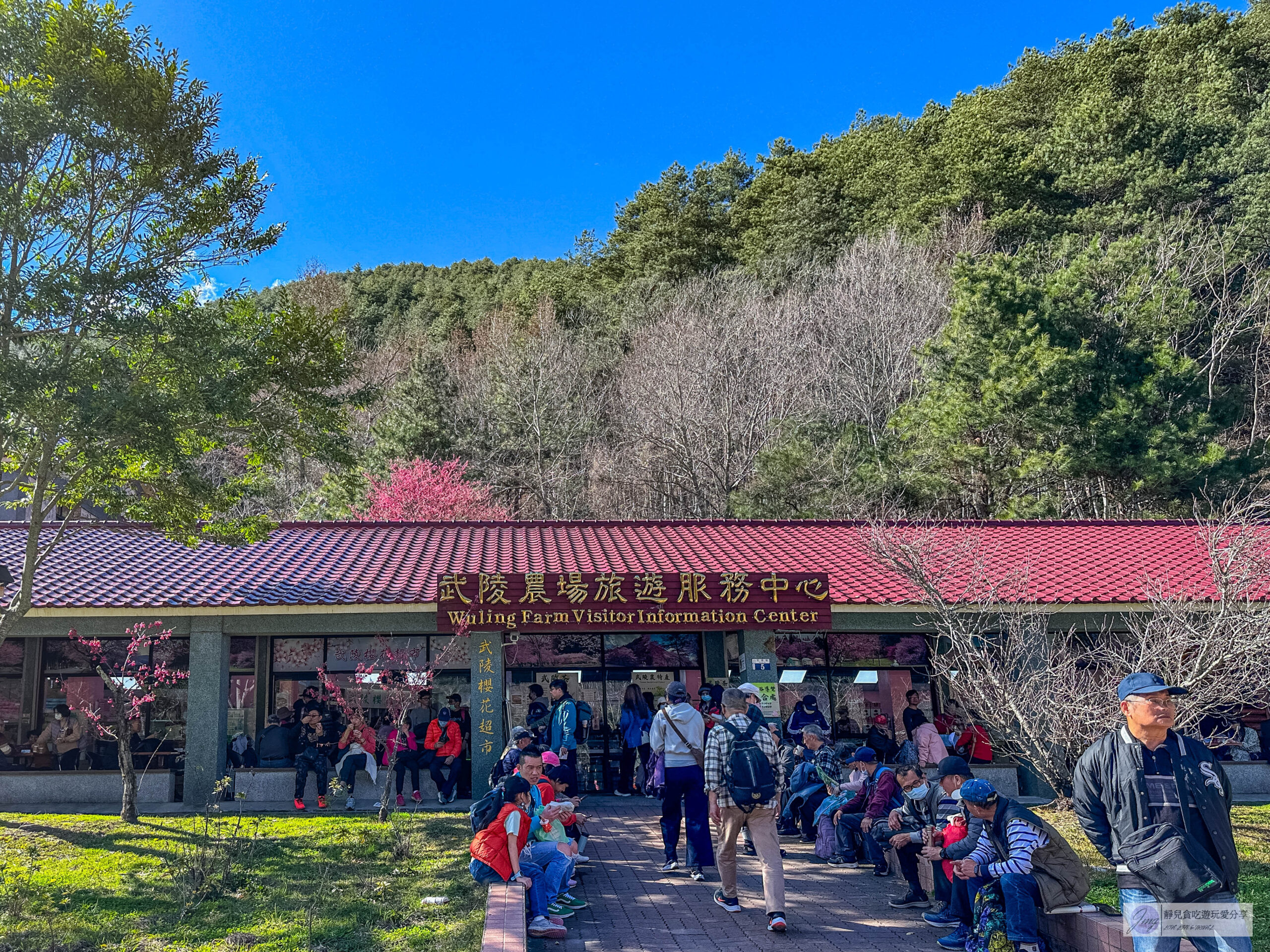 武陵農場-漫天粉櫻美景!多達20品種櫻花綻放的仙境粉紅森林,武陵賞櫻花季、門票、交通攻略 @靜兒貪吃遊玩愛分享 武陵農場-漫天粉櫻美景!多達20品種櫻花綻放的仙境粉紅森林,武陵賞櫻花季、門票、交通攻略 @靜兒貪吃遊玩愛分享