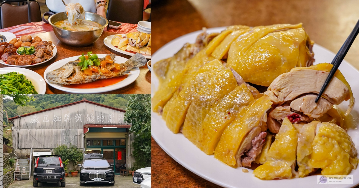 有雞料理-隱藏在深山裡！預約制，在地17年老舊鐵皮飼料廠裡的傳統台式料理，份量超大的放山土雞、浮誇鋼盆的芋頭米粉湯 @靜兒貪吃遊玩愛分享