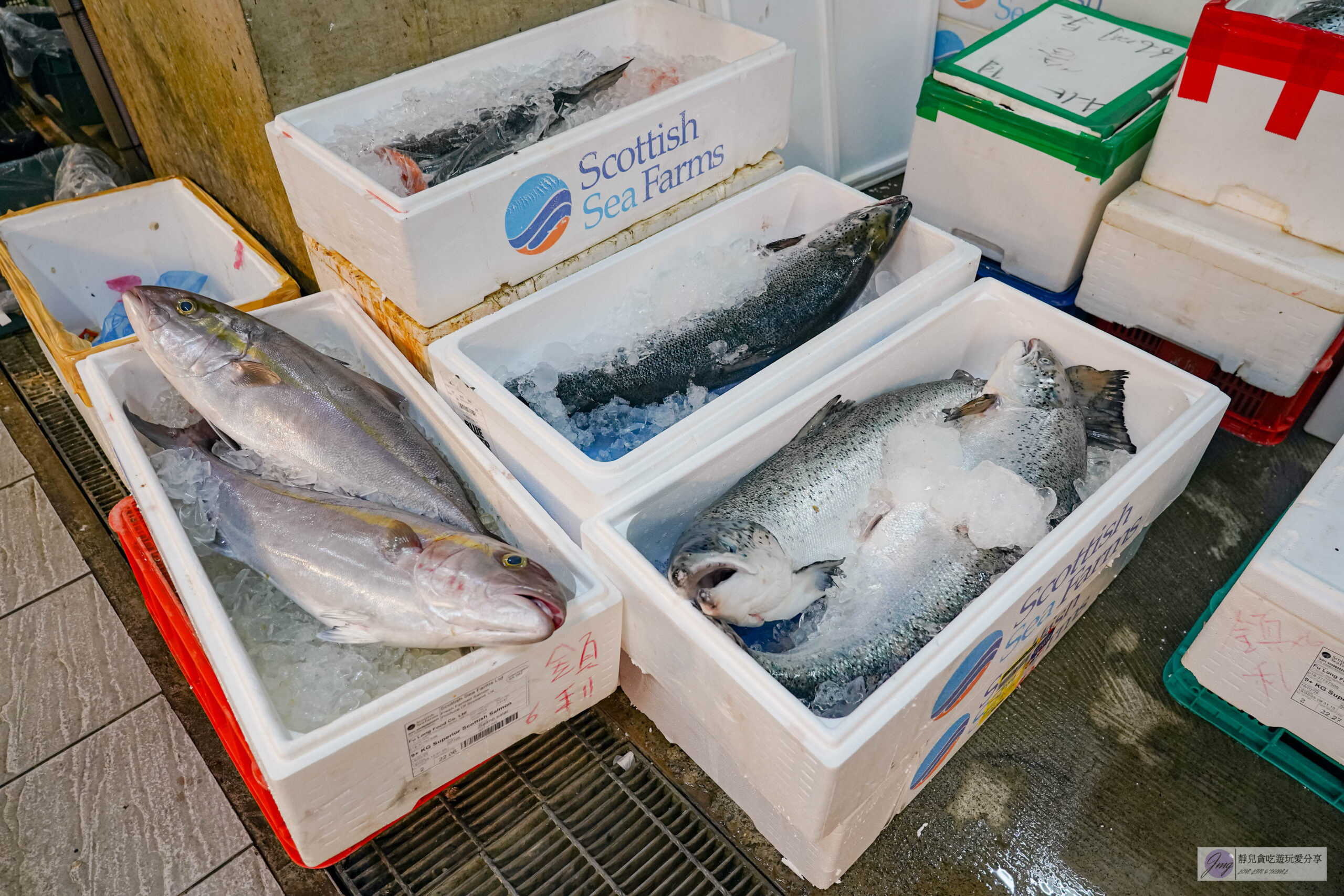 竹谷生魚片-隱藏市場內!人氣超高的厚切生魚片,200元綜合生魚片整盤超滿,海鮮批發專賣/新永和市場內 @靜兒貪吃遊玩愛分享 竹谷生魚片-隱藏市場內!人氣超高的厚切生魚片,200元綜合生魚片整盤超滿,海鮮批發專賣/新永和市場內 @靜兒貪吃遊玩愛分享