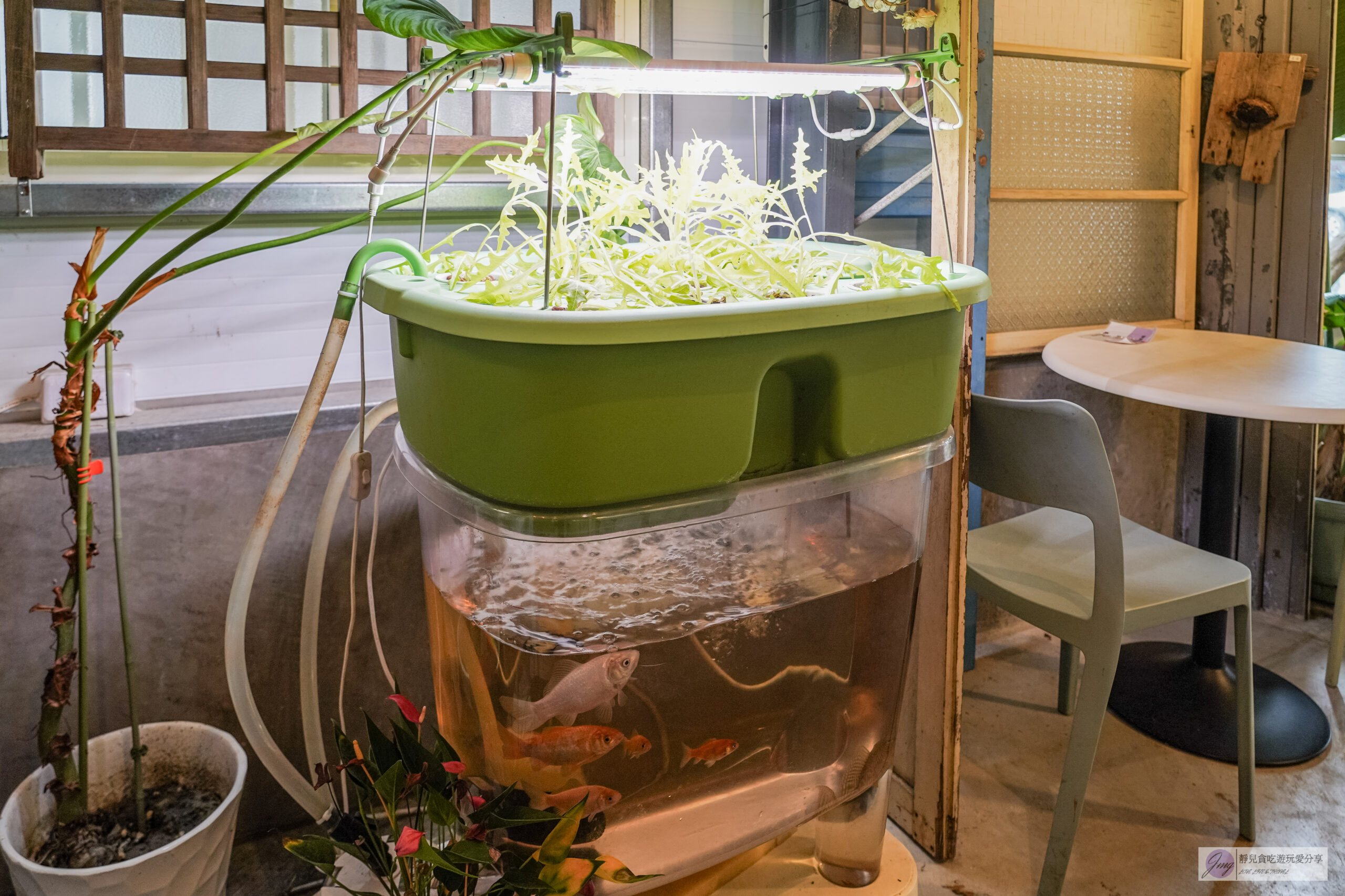 N&Eacute;V&Eacute; 那味豆花-植物園裡吃冰！內用限定炙燒脆皮豆花，韓式雪冰料超滿 @靜兒貪吃遊玩愛分享