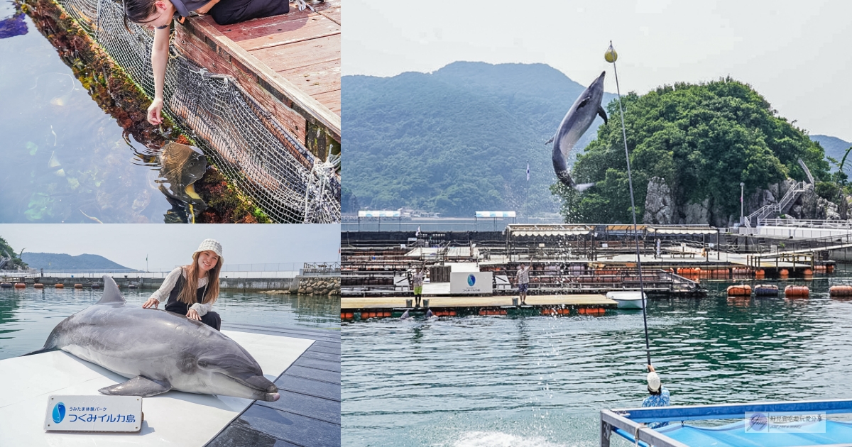 津久見海豚島-療癒系景點！近距離與海豚合影、餵食、玩耍，還能實現跟海豚共游/大分親子景點 @靜兒貪吃遊玩愛分享
