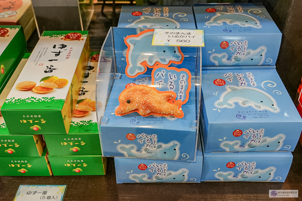 津久見海豚島-療癒系景點！近距離與海豚合影、餵食、玩耍，還能實現跟海豚共游/大分親子景點 @靜兒貪吃遊玩愛分享