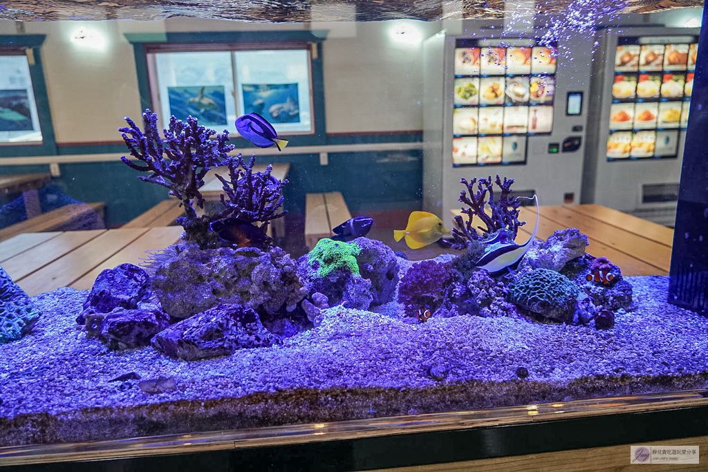 津久見海豚島-療癒系景點！近距離與海豚合影、餵食、玩耍，還能實現跟海豚共游/大分親子景點 @靜兒貪吃遊玩愛分享
