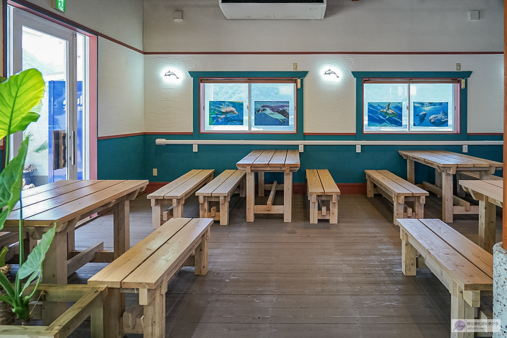 津久見海豚島-療癒系景點!近距離與海豚合影、餵食、玩耍,還能實現跟海豚共游/大分親子景點 @靜兒貪吃遊玩愛分享 津久見海豚島-療癒系景點!近距離與海豚合影、餵食、玩耍,還能實現跟海豚共游/大分親子景點 @靜兒貪吃遊玩愛分享