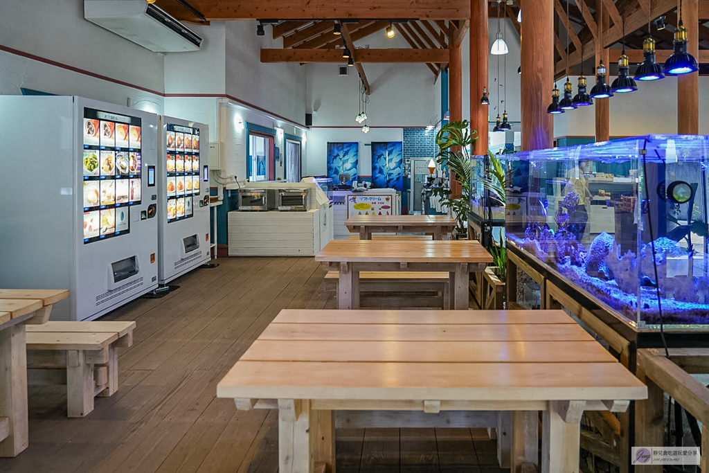 津久見海豚島-療癒系景點！近距離與海豚合影、餵食、玩耍，還能實現跟海豚共游/大分親子景點 @靜兒貪吃遊玩愛分享