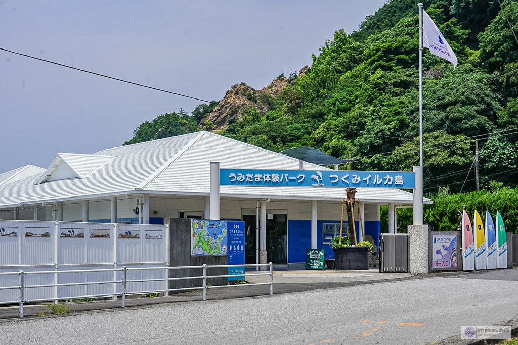津久見海豚島-療癒系景點!近距離與海豚合影、餵食、玩耍,還能實現跟海豚共游/大分親子景點 @靜兒貪吃遊玩愛分享 津久見海豚島-療癒系景點!近距離與海豚合影、餵食、玩耍,還能實現跟海豚共游/大分親子景點 @靜兒貪吃遊玩愛分享