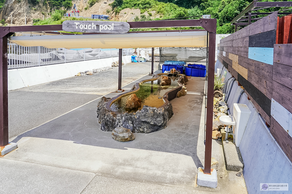 津久見海豚島-療癒系景點！近距離與海豚合影、餵食、玩耍，還能實現跟海豚共游/大分親子景點 @靜兒貪吃遊玩愛分享