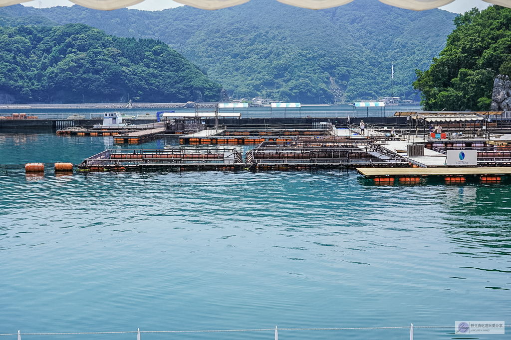 津久見海豚島-療癒系景點!近距離與海豚合影、餵食、玩耍,還能實現跟海豚共游/大分親子景點 @靜兒貪吃遊玩愛分享 津久見海豚島-療癒系景點!近距離與海豚合影、餵食、玩耍,還能實現跟海豚共游/大分親子景點 @靜兒貪吃遊玩愛分享