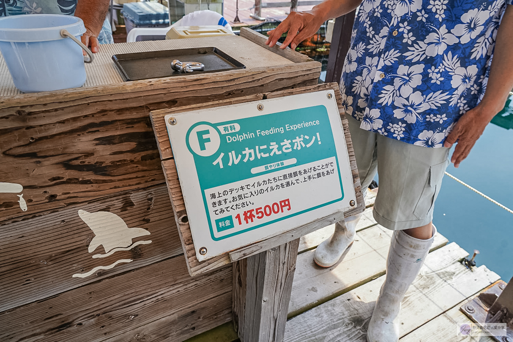 津久見海豚島-療癒系景點!近距離與海豚合影、餵食、玩耍,還能實現跟海豚共游/大分親子景點 @靜兒貪吃遊玩愛分享 津久見海豚島-療癒系景點!近距離與海豚合影、餵食、玩耍,還能實現跟海豚共游/大分親子景點 @靜兒貪吃遊玩愛分享