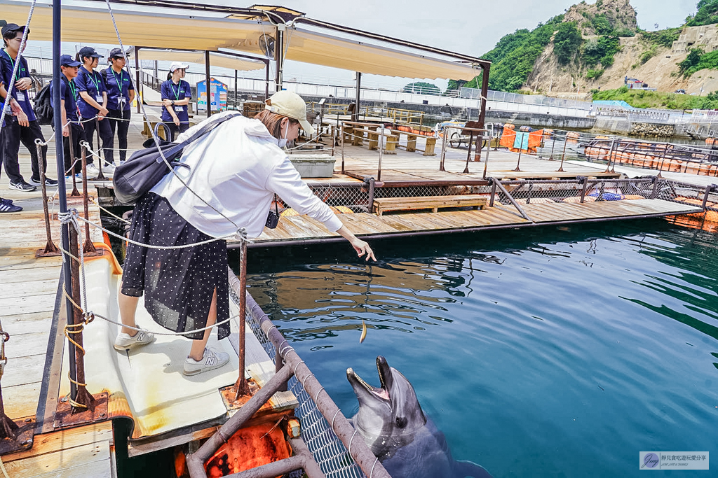 津久見海豚島-療癒系景點!近距離與海豚合影、餵食、玩耍,還能實現跟海豚共游/大分親子景點 @靜兒貪吃遊玩愛分享 津久見海豚島-療癒系景點!近距離與海豚合影、餵食、玩耍,還能實現跟海豚共游/大分親子景點 @靜兒貪吃遊玩愛分享