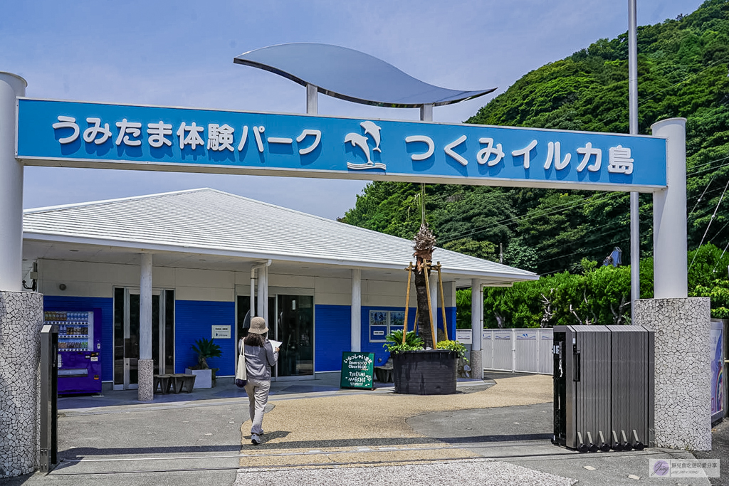 津久見海豚島-療癒系景點!近距離與海豚合影、餵食、玩耍,還能實現跟海豚共游/大分親子景點 @靜兒貪吃遊玩愛分享 津久見海豚島-療癒系景點!近距離與海豚合影、餵食、玩耍,還能實現跟海豚共游/大分親子景點 @靜兒貪吃遊玩愛分享
