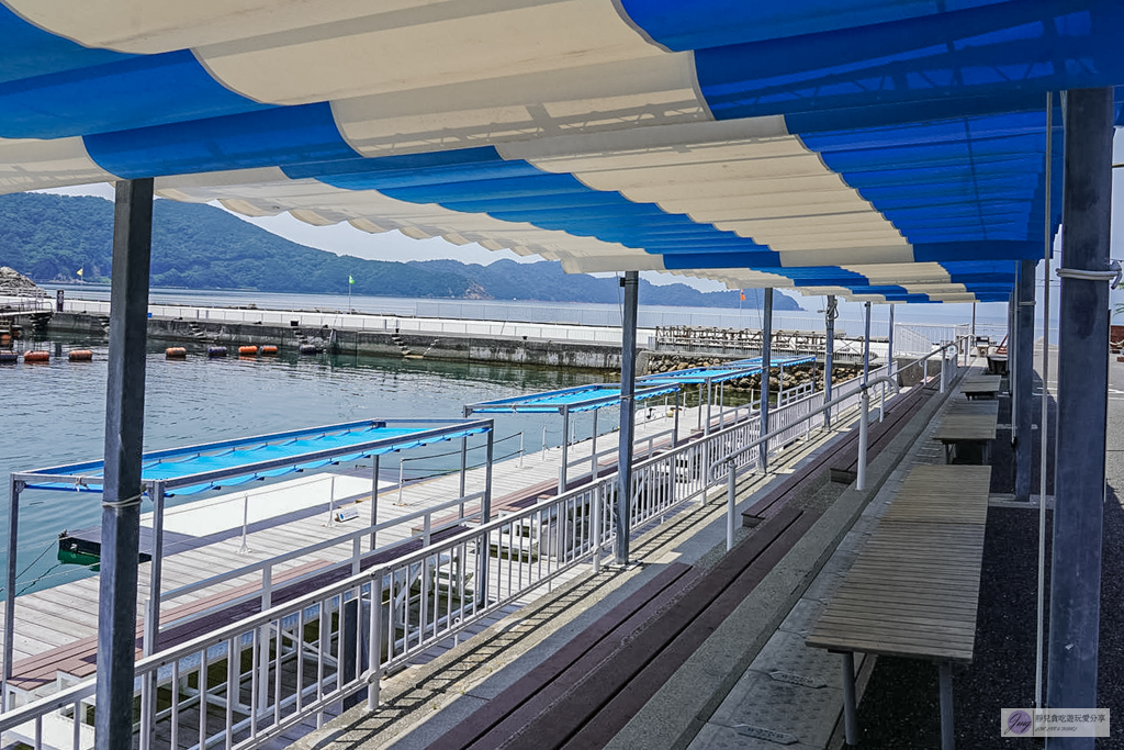 津久見海豚島-療癒系景點！近距離與海豚合影、餵食、玩耍，還能實現跟海豚共游/大分親子景點 @靜兒貪吃遊玩愛分享