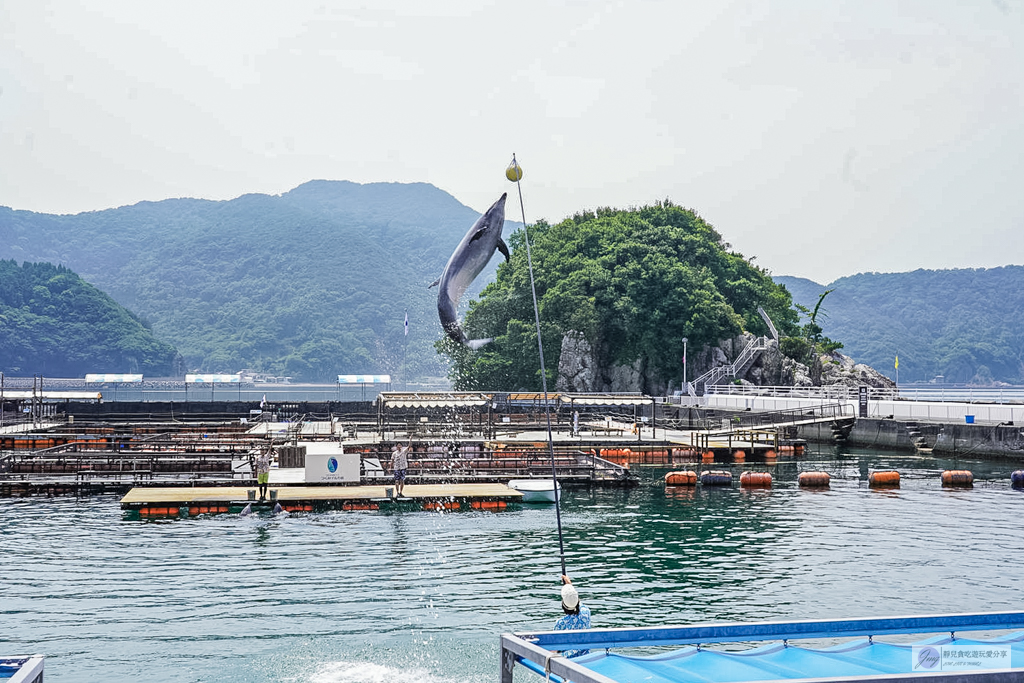 津久見海豚島-療癒系景點!近距離與海豚合影、餵食、玩耍,還能實現跟海豚共游/大分親子景點 @靜兒貪吃遊玩愛分享 津久見海豚島-療癒系景點!近距離與海豚合影、餵食、玩耍,還能實現跟海豚共游/大分親子景點 @靜兒貪吃遊玩愛分享
