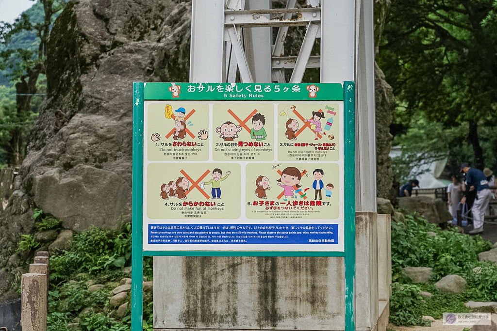 高崎山自然動物園-在地72年!近距離觀察上千隻野生日本獼猴,地瓜餵食秀超有趣/大分親子景點 @靜兒貪吃遊玩愛分享 高崎山自然動物園-在地72年!近距離觀察上千隻野生日本獼猴,地瓜餵食秀超有趣/大分親子景點 @靜兒貪吃遊玩愛分享