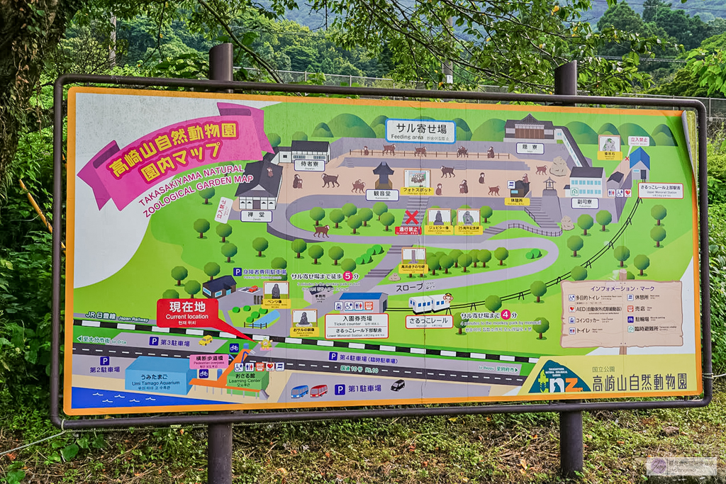 高崎山自然動物園-在地72年!近距離觀察上千隻野生日本獼猴,地瓜餵食秀超有趣/大分親子景點 @靜兒貪吃遊玩愛分享 高崎山自然動物園-在地72年!近距離觀察上千隻野生日本獼猴,地瓜餵食秀超有趣/大分親子景點 @靜兒貪吃遊玩愛分享