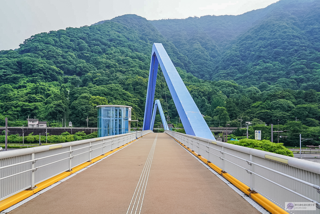高崎山自然動物園-在地72年!近距離觀察上千隻野生日本獼猴,地瓜餵食秀超有趣/大分親子景點 @靜兒貪吃遊玩愛分享 高崎山自然動物園-在地72年!近距離觀察上千隻野生日本獼猴,地瓜餵食秀超有趣/大分親子景點 @靜兒貪吃遊玩愛分享