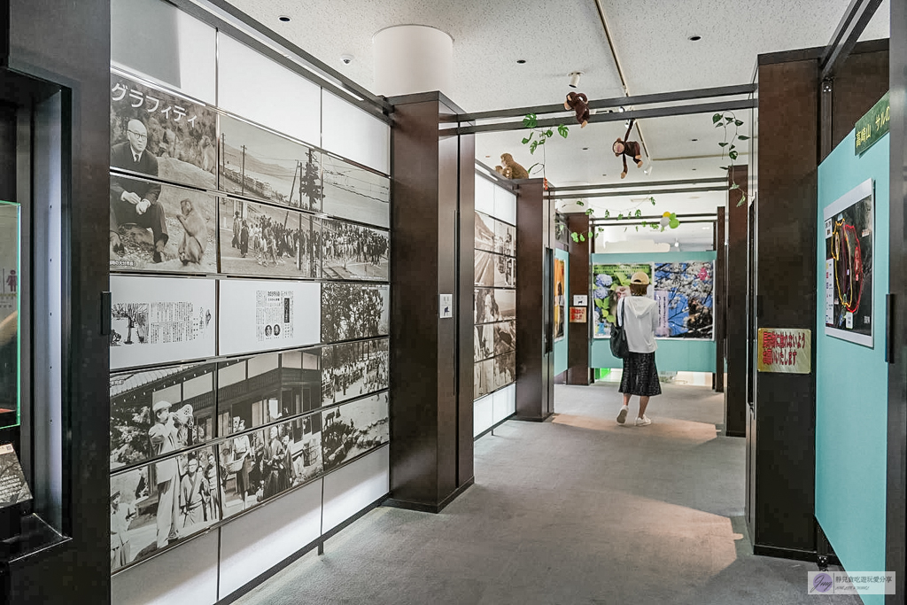 高崎山自然動物園-在地72年!近距離觀察上千隻野生日本獼猴,地瓜餵食秀超有趣/大分親子景點 @靜兒貪吃遊玩愛分享 高崎山自然動物園-在地72年!近距離觀察上千隻野生日本獼猴,地瓜餵食秀超有趣/大分親子景點 @靜兒貪吃遊玩愛分享