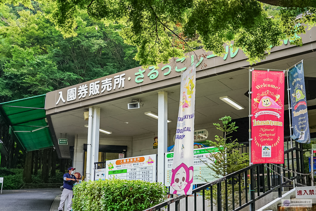 高崎山自然動物園-在地72年!近距離觀察上千隻野生日本獼猴,地瓜餵食秀超有趣/大分親子景點 @靜兒貪吃遊玩愛分享 高崎山自然動物園-在地72年!近距離觀察上千隻野生日本獼猴,地瓜餵食秀超有趣/大分親子景點 @靜兒貪吃遊玩愛分享
