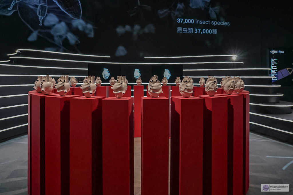 EXPO 2025大阪萬國博覽會-一次參觀8大展館全攻略，門票、交通、必備物品懶人包 @靜兒貪吃遊玩愛分享