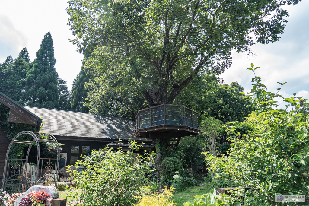 久住花公園-500種花卉輪番綻放！春賞鬱金香、夏採薰衣草、秋日粉嫩櫻花一次滿足 @靜兒貪吃遊玩愛分享