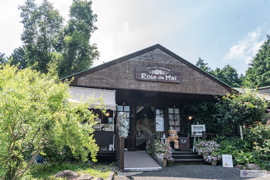 久住花公園-500種花卉輪番綻放！春賞鬱金香、夏採薰衣草、秋日粉嫩櫻花一次滿足 @靜兒貪吃遊玩愛分享