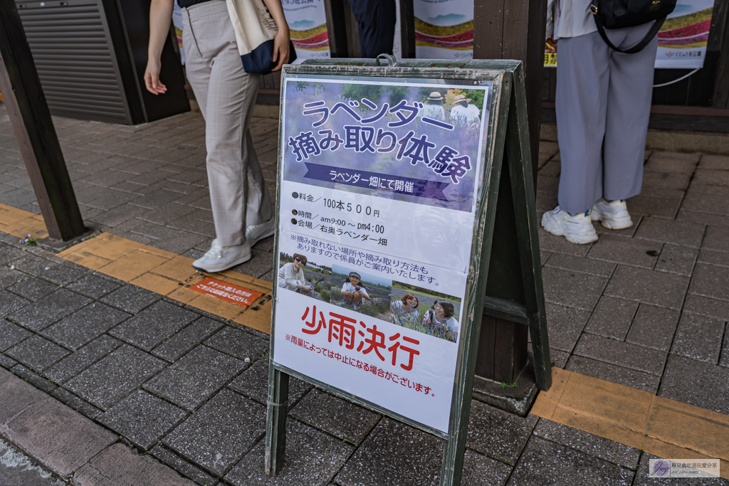 久住花公園-500種花卉輪番綻放！春賞鬱金香、夏採薰衣草、秋日粉嫩櫻花一次滿足 @靜兒貪吃遊玩愛分享