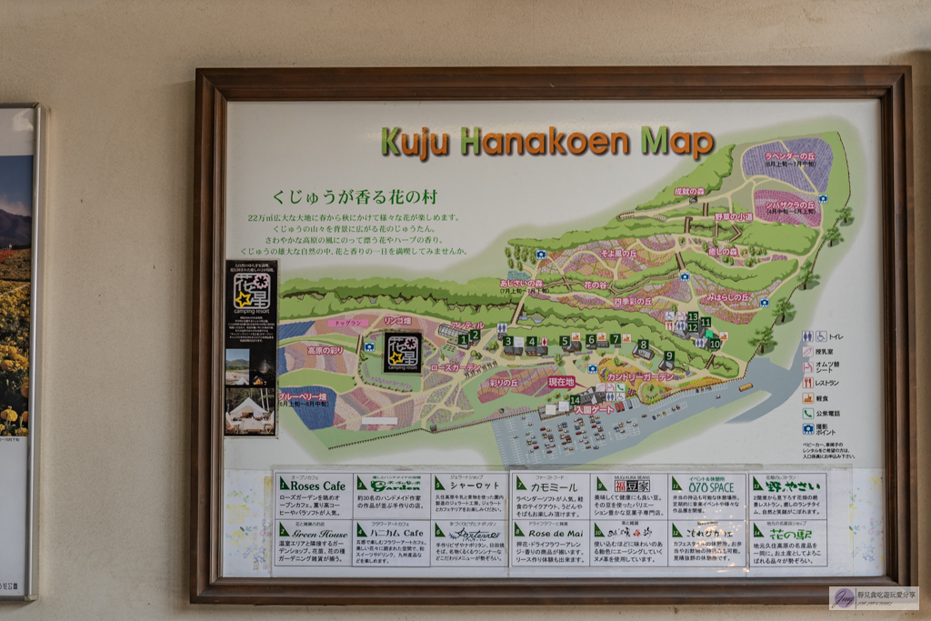 久住花公園-500種花卉輪番綻放！春賞鬱金香、夏採薰衣草、秋日粉嫩櫻花一次滿足 @靜兒貪吃遊玩愛分享
