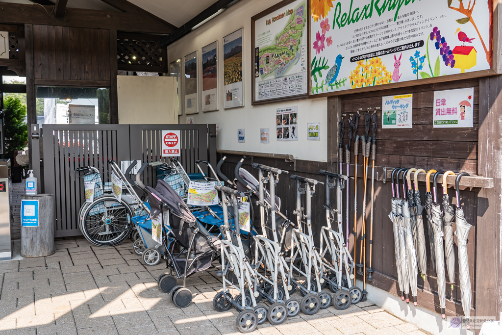 久住花公園-500種花卉輪番綻放！春賞鬱金香、夏採薰衣草、秋日粉嫩櫻花一次滿足 @靜兒貪吃遊玩愛分享