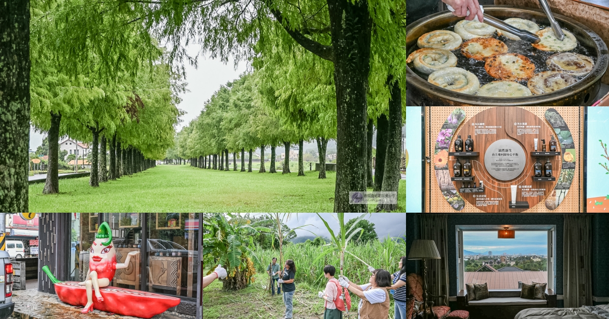 宜蘭兩日遊｜DIY活動：農作拔三星蔥、馬卡龍蔥派、甘蔗榨汁與辣椒冰淇淋 @靜兒貪吃遊玩愛分享