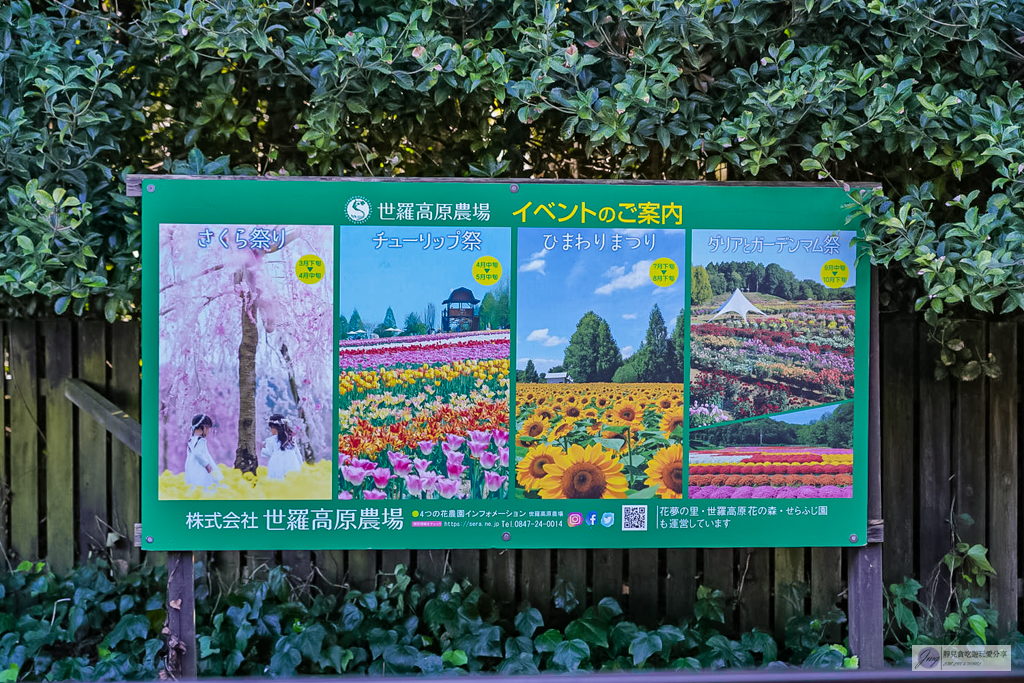世羅高原農場-日本最大花田!大理花與秋菊繽紛盛開,走進童話般的花卉世界 @靜兒貪吃遊玩愛分享 世羅高原農場-日本最大花田!大理花與秋菊繽紛盛開,走進童話般的花卉世界 @靜兒貪吃遊玩愛分享