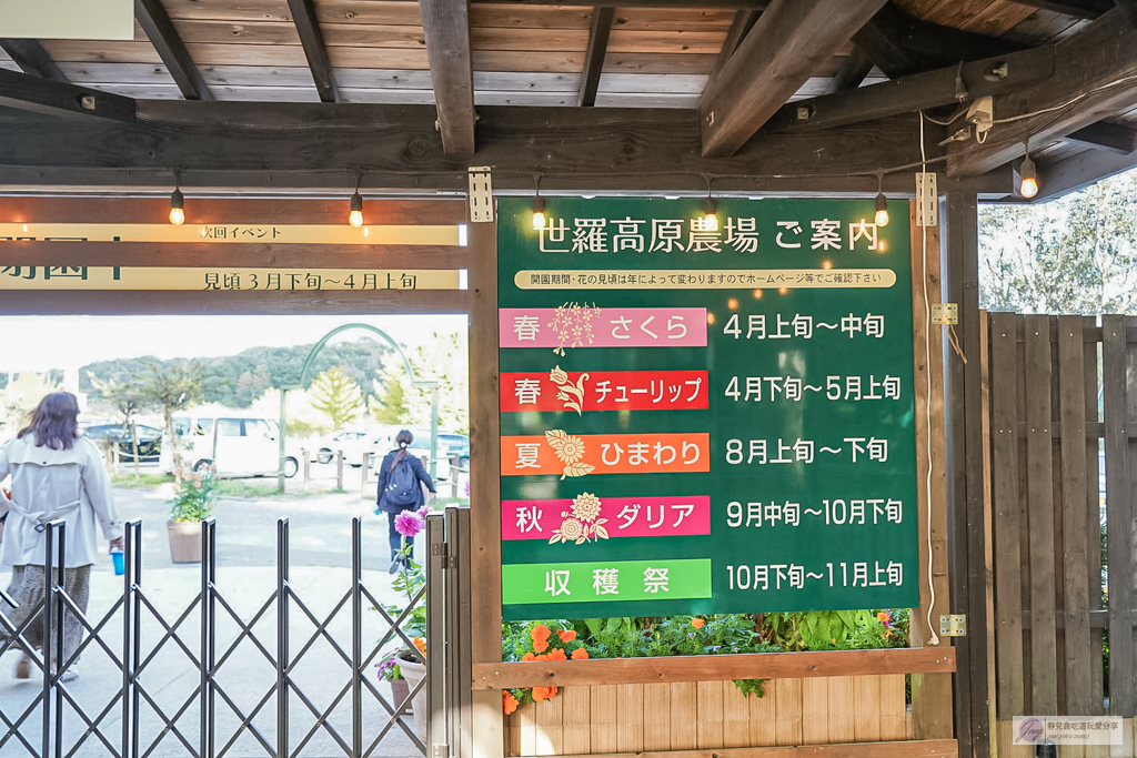 世羅高原農場-日本最大花田!大理花與秋菊繽紛盛開,走進童話般的花卉世界 @靜兒貪吃遊玩愛分享 世羅高原農場-日本最大花田!大理花與秋菊繽紛盛開,走進童話般的花卉世界 @靜兒貪吃遊玩愛分享