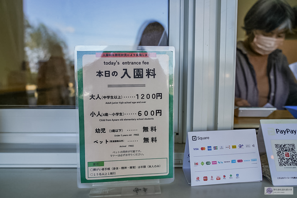 世羅高原農場-日本最大花田!大理花與秋菊繽紛盛開,走進童話般的花卉世界 @靜兒貪吃遊玩愛分享 世羅高原農場-日本最大花田!大理花與秋菊繽紛盛開,走進童話般的花卉世界 @靜兒貪吃遊玩愛分享