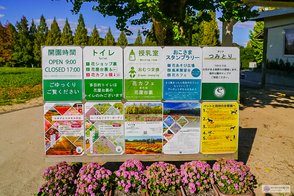 世羅高原農場-日本最大花田!大理花與秋菊繽紛盛開,走進童話般的花卉世界 @靜兒貪吃遊玩愛分享 世羅高原農場-日本最大花田!大理花與秋菊繽紛盛開,走進童話般的花卉世界 @靜兒貪吃遊玩愛分享
